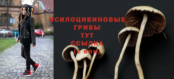 ешки Вяземский