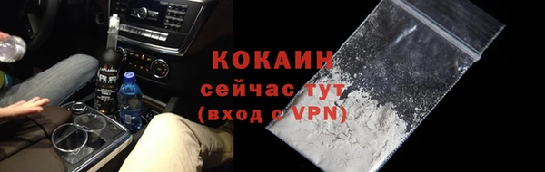 ешки Вяземский