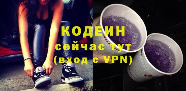 ешки Вяземский