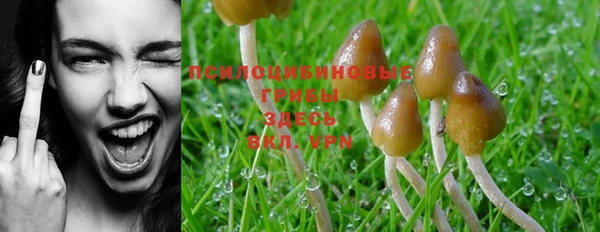 ешки Вяземский