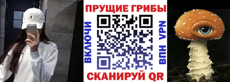 Псилоцибиновые грибы GOLDEN TEACHER Вологда