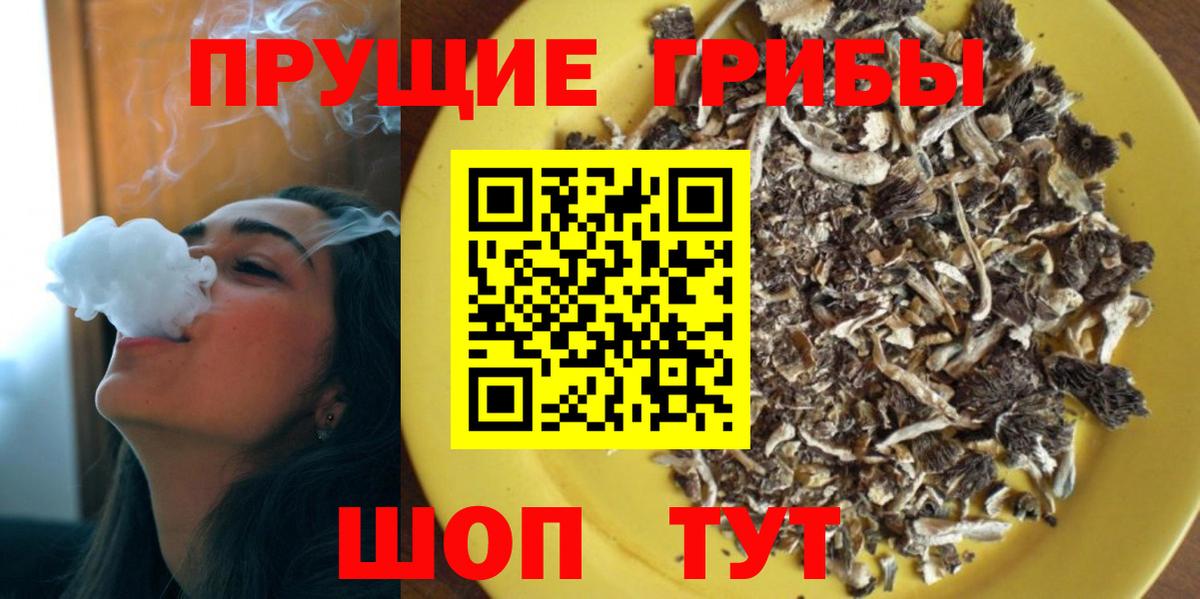 Галлюциногенные грибы GOLDEN TEACHER Вологда